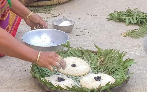 বাচি তাককায়