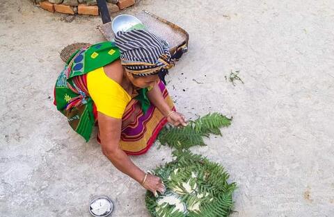 বামচি গ্ৰৌপকায়
